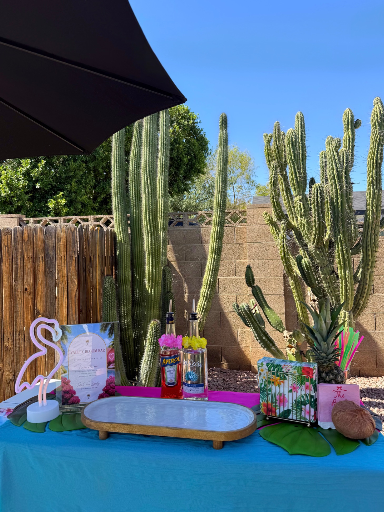 Outdoor Arizona bar setup with cacti and tropical decor